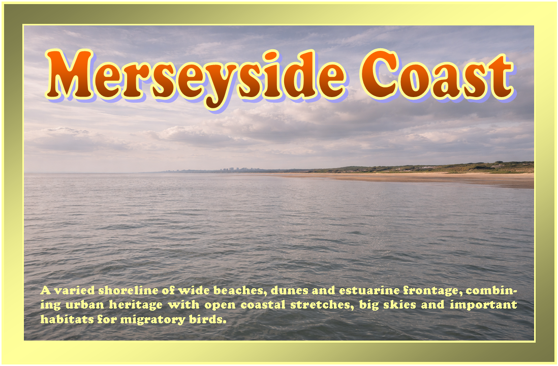 Merseyside Postcard