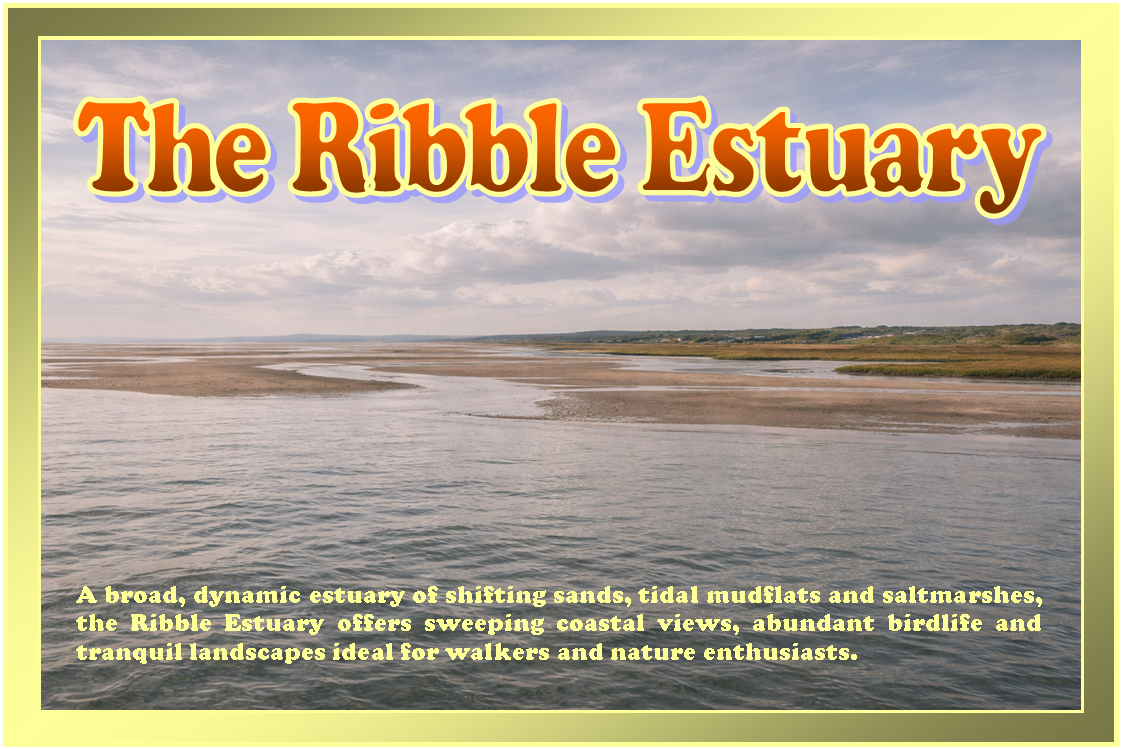 Ribble Estuary Postcard